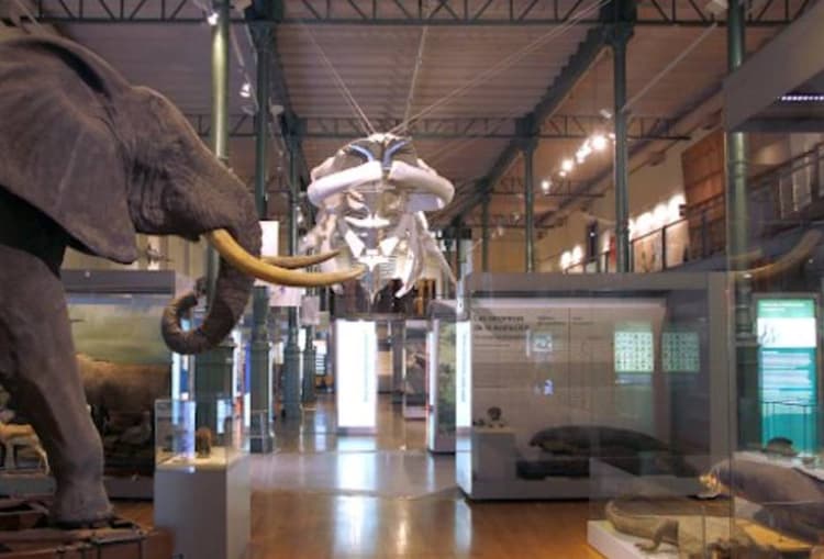 museo-ciencias-naturales